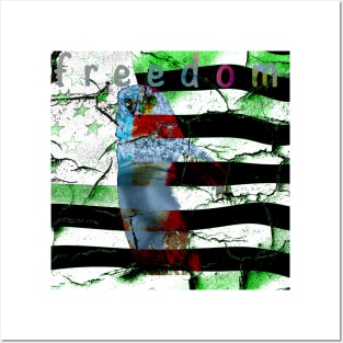 freedom Posters and Art